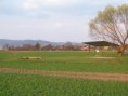 /album/strelnice/a100-9621-jpg/